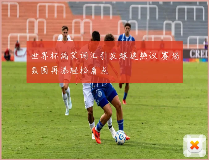 世界杯搞笑词汇引发球迷热议 赛场氛围再添轻松看点