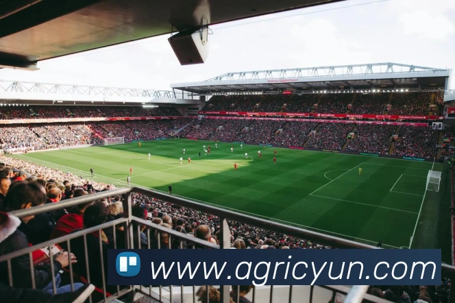 世界杯开户平台APP 高清赛事图